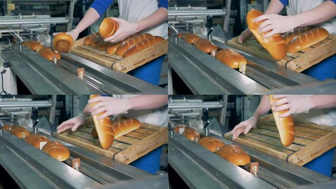 长条面包被放在传送带上，正在打包。