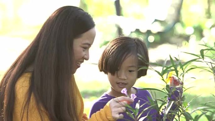 亚洲母亲，女儿走上花园，摘花