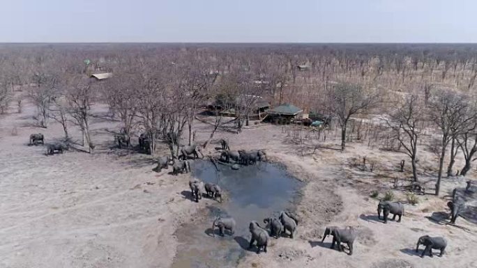 空中飞越博茨瓦纳Khwai私人保护区鬣狗潘的一大群大象的视线