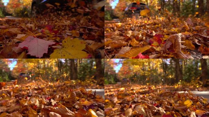 慢动作: 汽车驶过明亮的秋叶，躺在五颜六色的森林路上