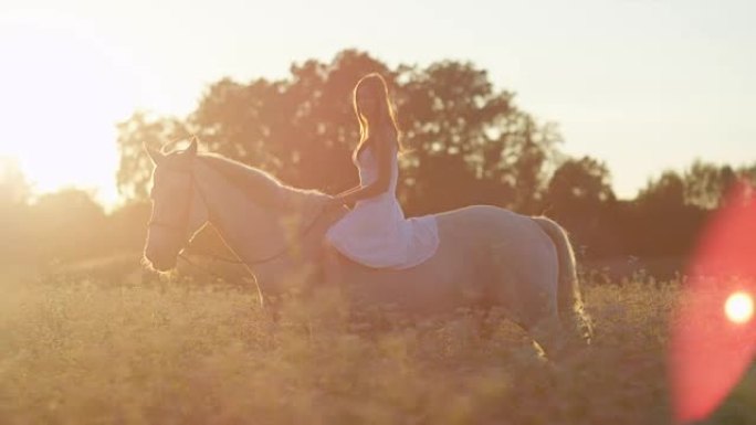 特写: 日落时穿着白色连衣裙的女孩在开花的粉红色田野里骑马