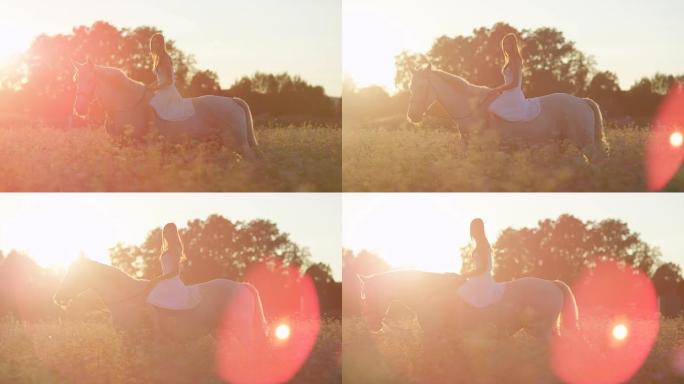 特写: 日落时穿着白色连衣裙的女孩在开花的粉红色田野里骑马