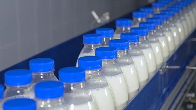 新鲜乳制品，瓶子在传送带上移动。奶制品厂
