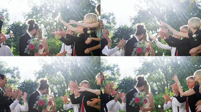 新娘和新郎亲吻4K 4k时，客人扔花瓣