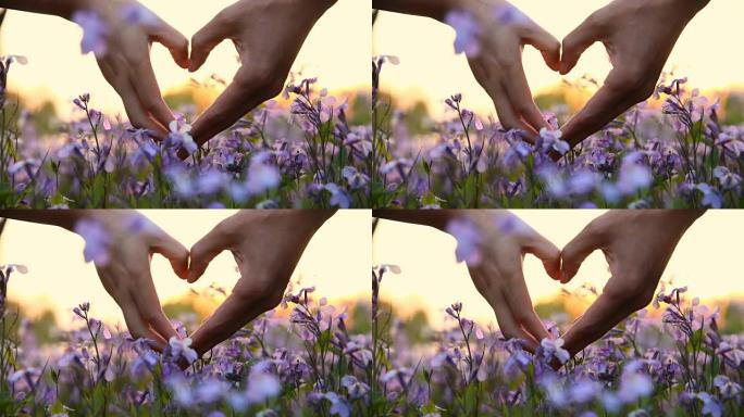 情侣双手与花朵形成心形