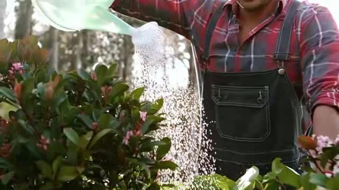 微笑的园丁男子浇灌植物