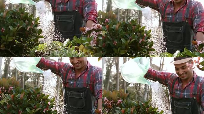 微笑的园丁男子浇灌植物