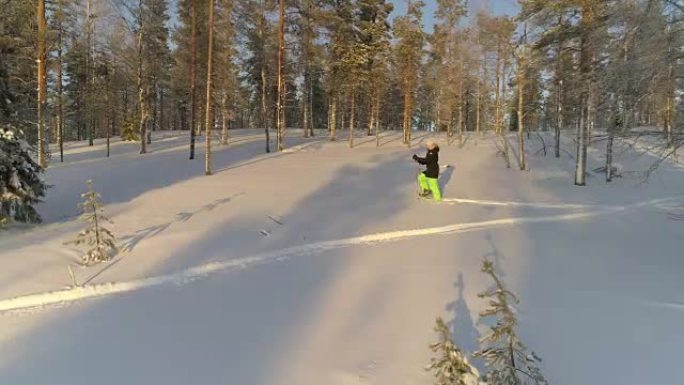 空中: 穿着温暖的冬装的女人在拉普兰森林的深雪上穿着雪鞋