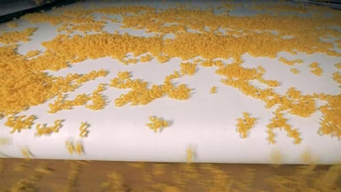 意大利面，食品厂的通心粉生产线。