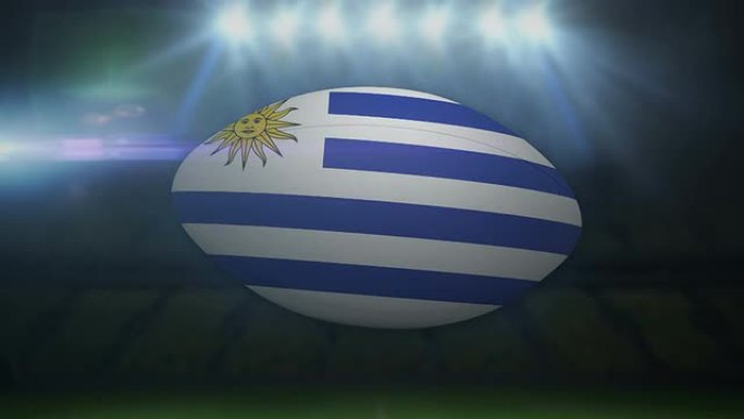 体育场内有闪光灯的乌拉圭橄榄球
