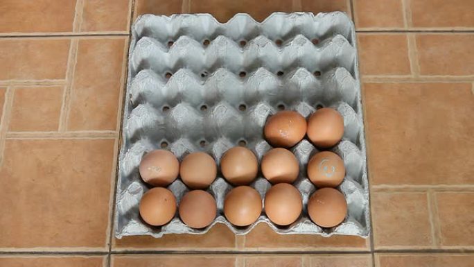 放鸡蛋放鸡蛋