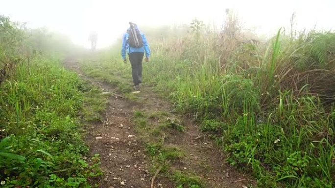 亚洲旅行者男性徒步旅行者在泰国深雨林徒步旅行的4k镜头。旅行和徒步旅行概念