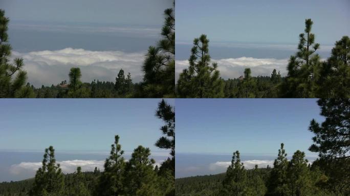 云层之上，特内里费岛泰德国家公园（加那利群岛）（高清）