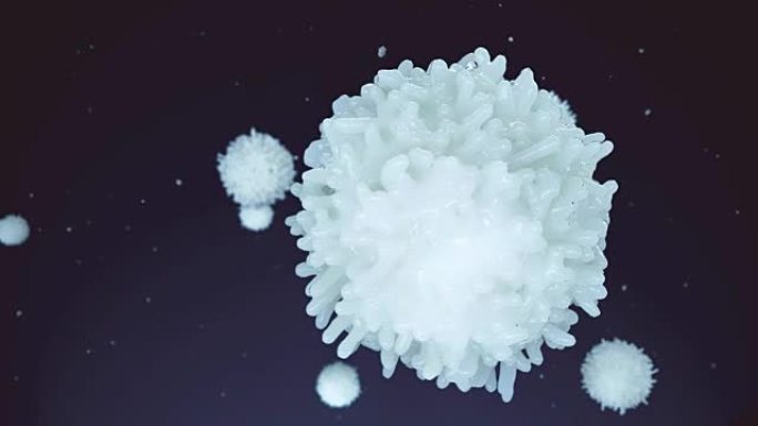 医学上准确的淋巴细胞 (白细胞)。
