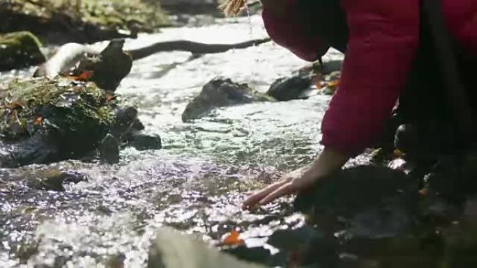 女士徒步旅行，弯腰并从阳光明媚的溪流中拔罐水