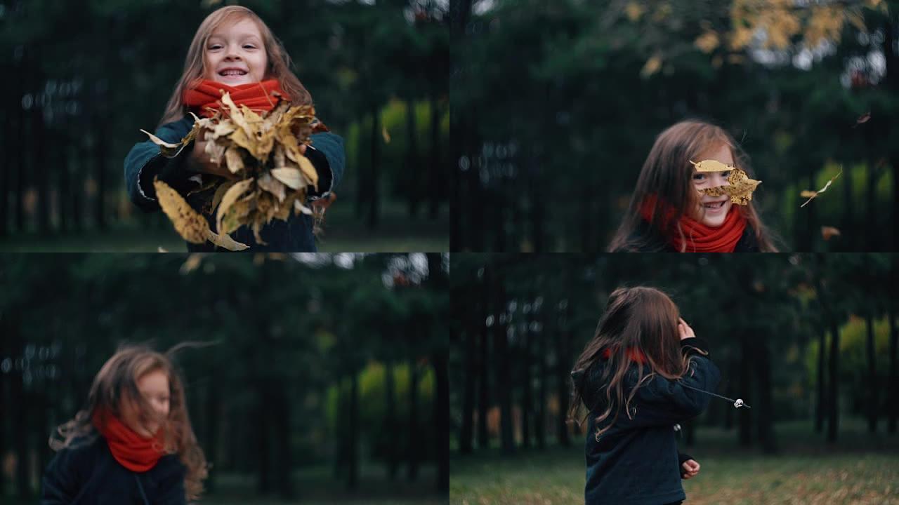 有趣，开朗可爱的小女孩特写收集黄色秋叶在公园慢动作