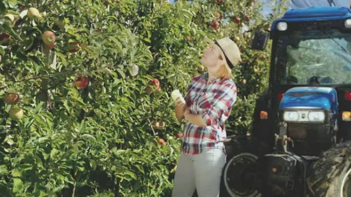 DS女果农在果园里吃苹果
