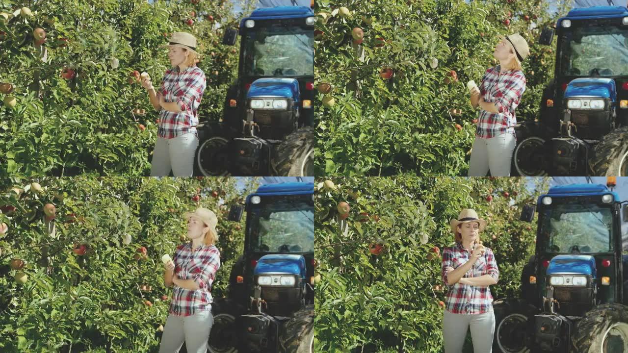 DS女果农在果园里吃苹果