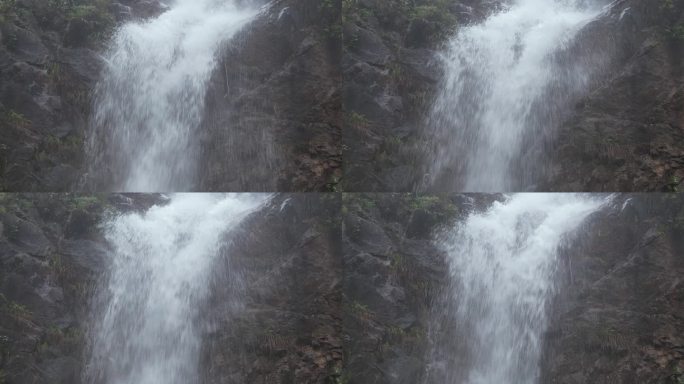 春季雨水   沉浸体验野生瀑布