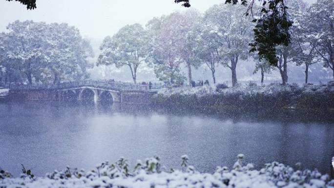 雪中的行人 雪中玩耍  雪中城市公园