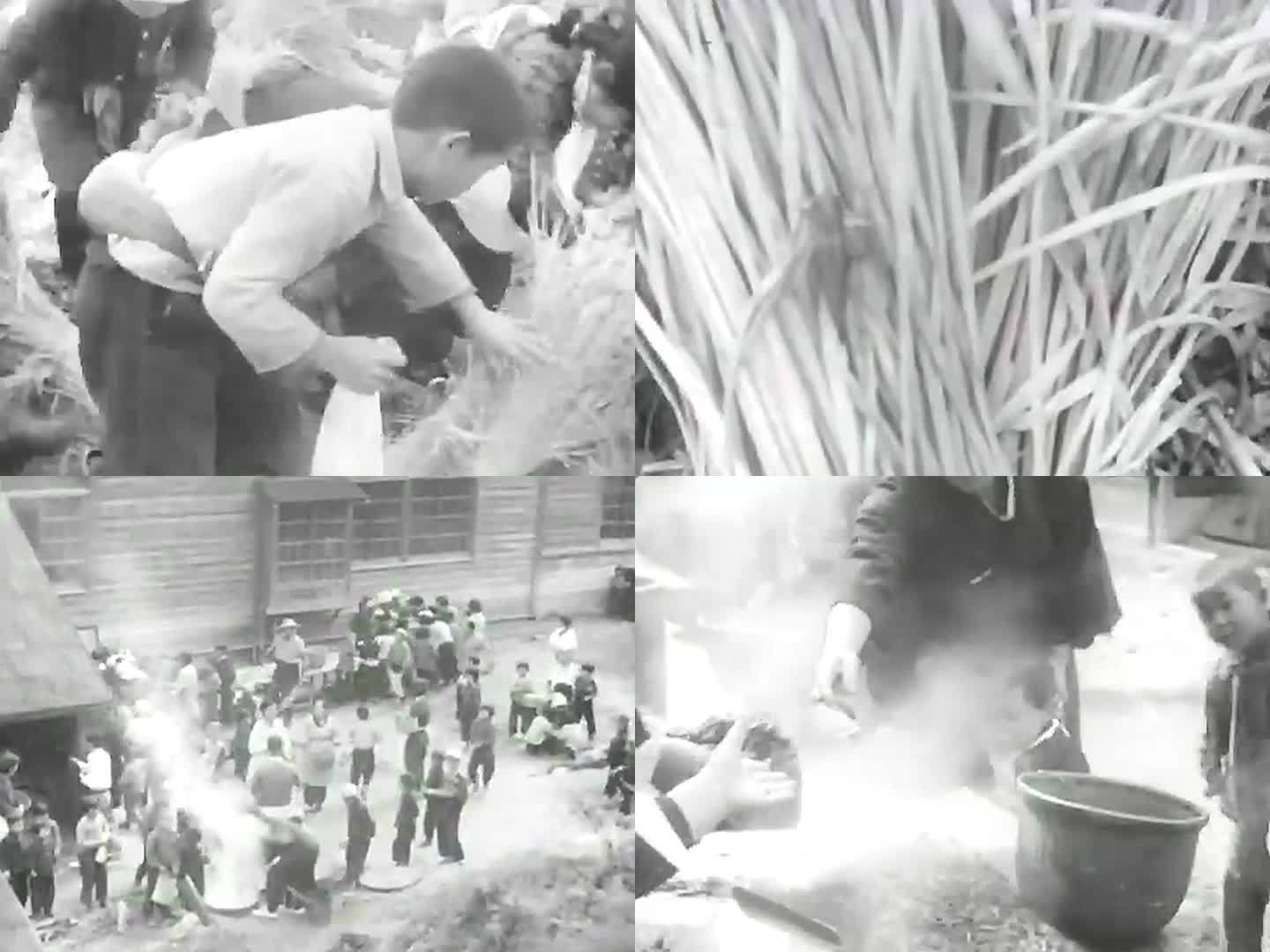 1956年日本 蝗虫灾害