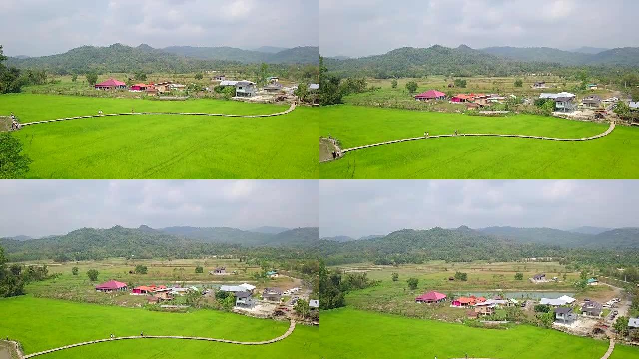 泰国那空的田野和竹桥景观