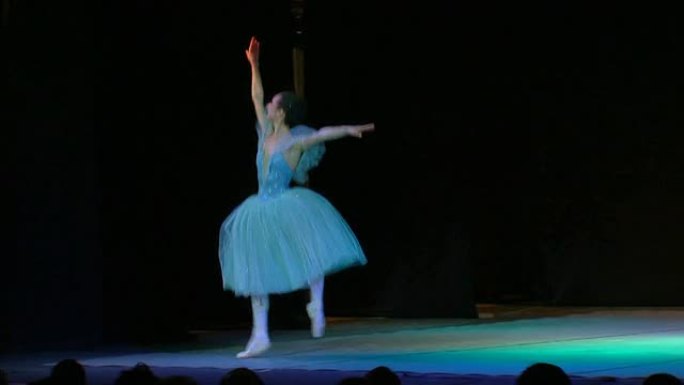 芭蕾舞表演芭蕾舞表演外国人