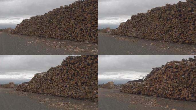 空中: 美国混交林边缘的一排排堆积的木柴原木