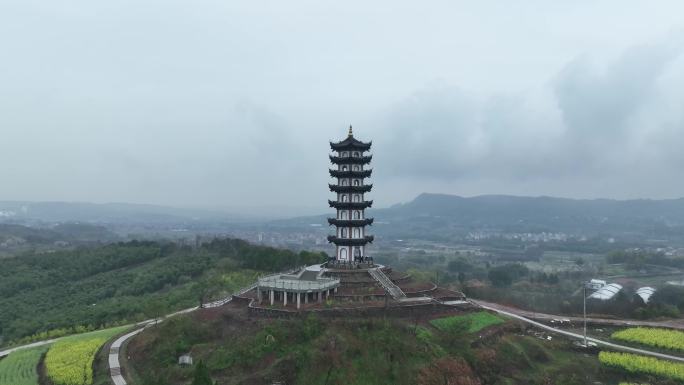 浙江绍兴嵊州亭山村油菜花航拍