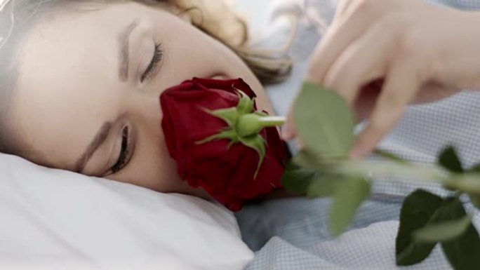 特写，女人在枕头上发现红玫瑰