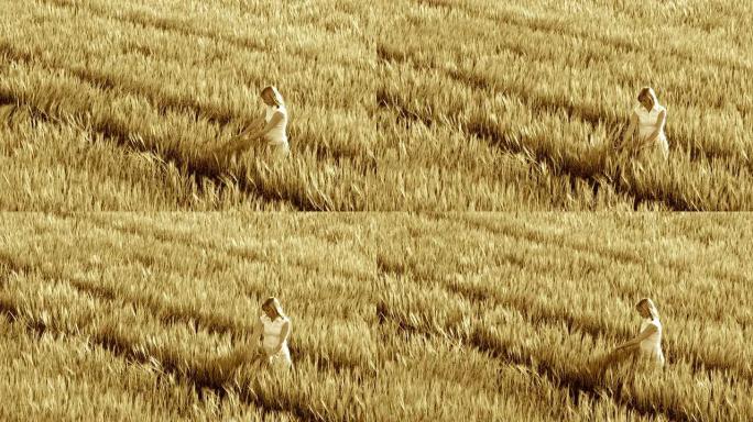 HD起重机: 麦田里的女人