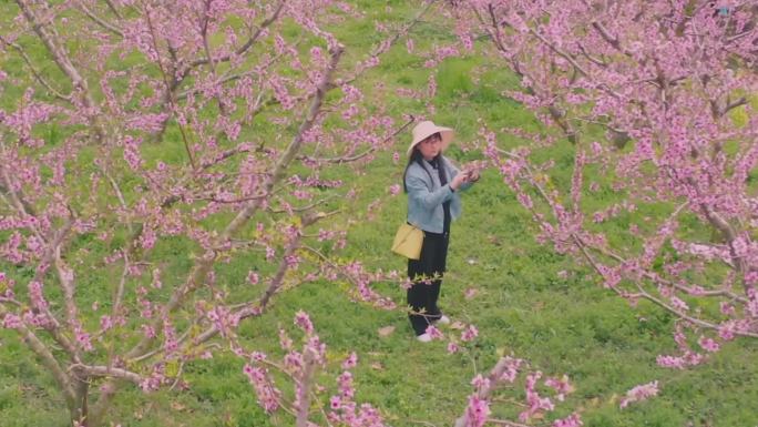 扬州小镇的春天景色
