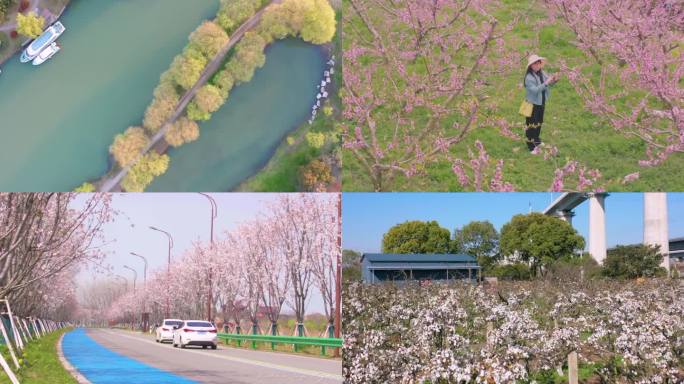 扬州小镇的春天景色