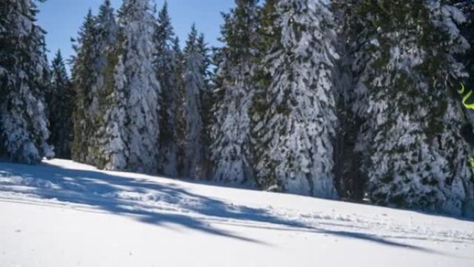 专注的越野滑雪者滑板滑雪上坡