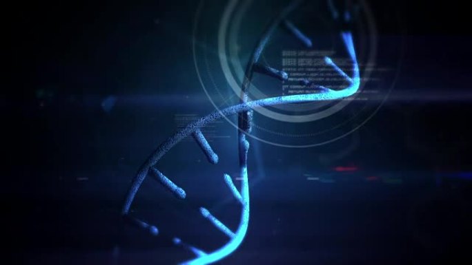 DNA矩阵的视频