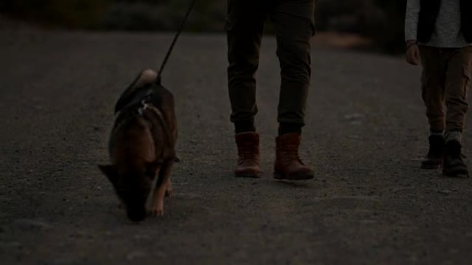 父子在山区乡村公路上与狗一起徒步旅行