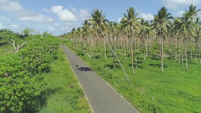 瓦努阿图凉爽的棕榈油种植园附近狭窄的柏油路上方的空中飞行