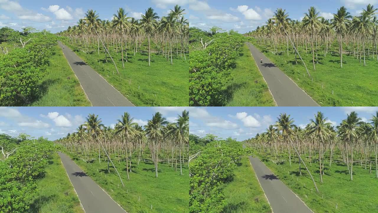 瓦努阿图凉爽的棕榈油种植园附近狭窄的柏油路上方的空中飞行