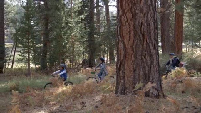 一家人一起骑车穿过森林，侧视图
