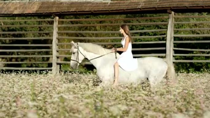 Dop: 穿着白色连衣裙的女孩在粉红色的花田上骑着白马