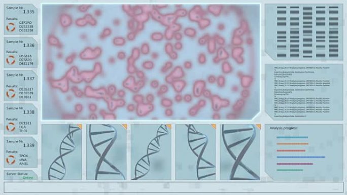 3D DNA结构和红色生物病毒模式的交互界面在显微镜下的培养皿中复制和生长。