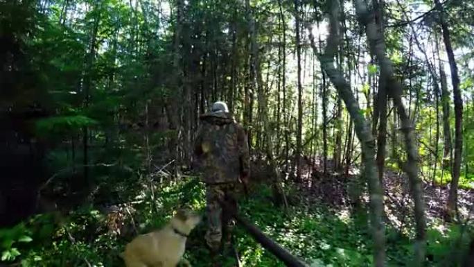 猎人带着狗在森林里散步4k