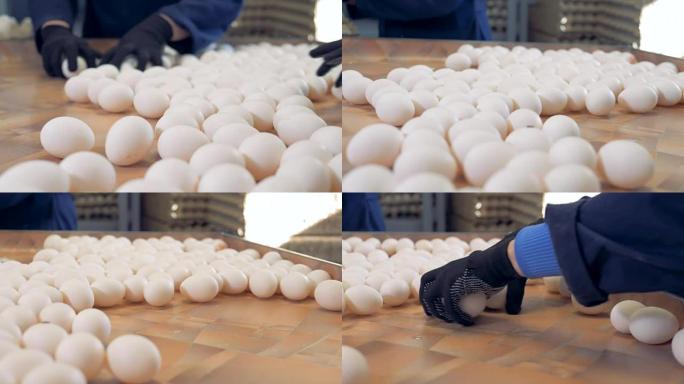 鸡蛋分拣厂包装新鲜鸡蛋的工人。