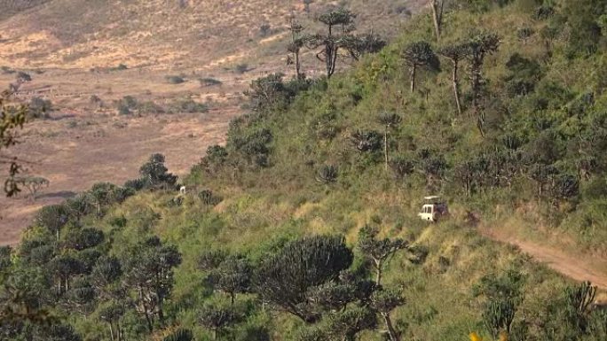 特写: Safari吉普车游戏驾驶并下降到非洲Ngorongoro火山口