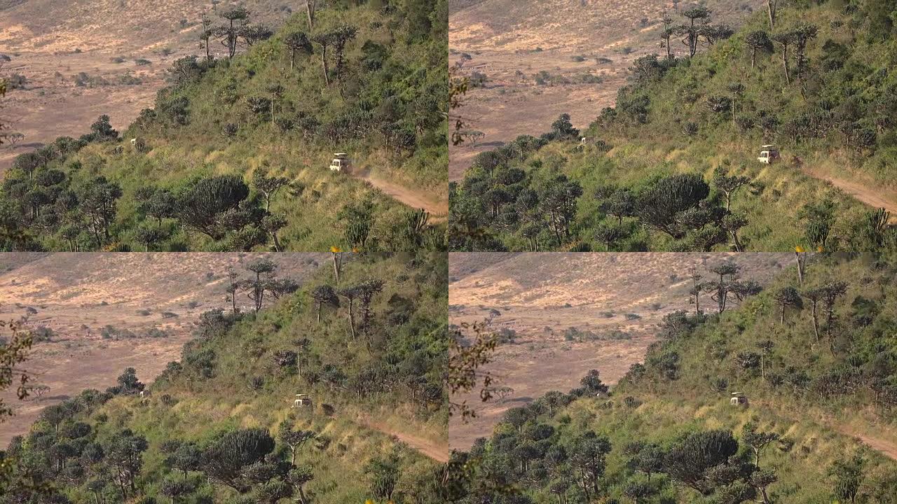 特写: Safari吉普车游戏驾驶并下降到非洲Ngorongoro火山口