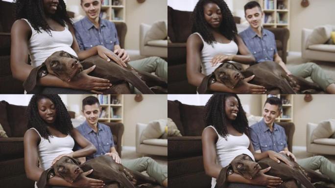 UHD 4k SLO MO: 迷人的混血怀孕夫妇抱着他们的宠物狗