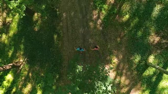 空中情侣穿越森林