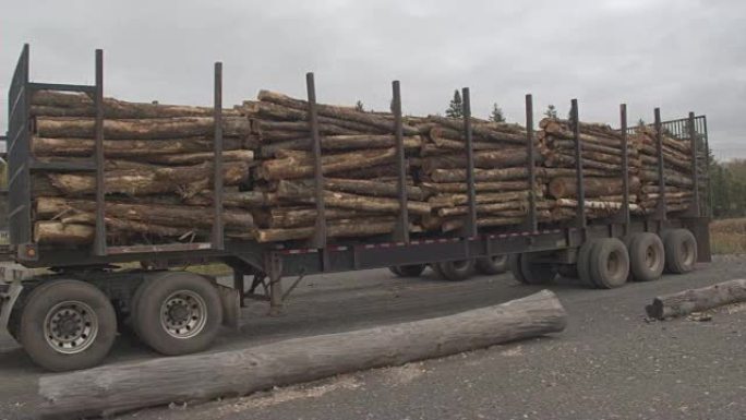 特写: 将树干堆积在原木运输卡车上的大堆中