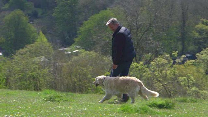 成熟的男人在R3D拍摄的乡村中带狗散步