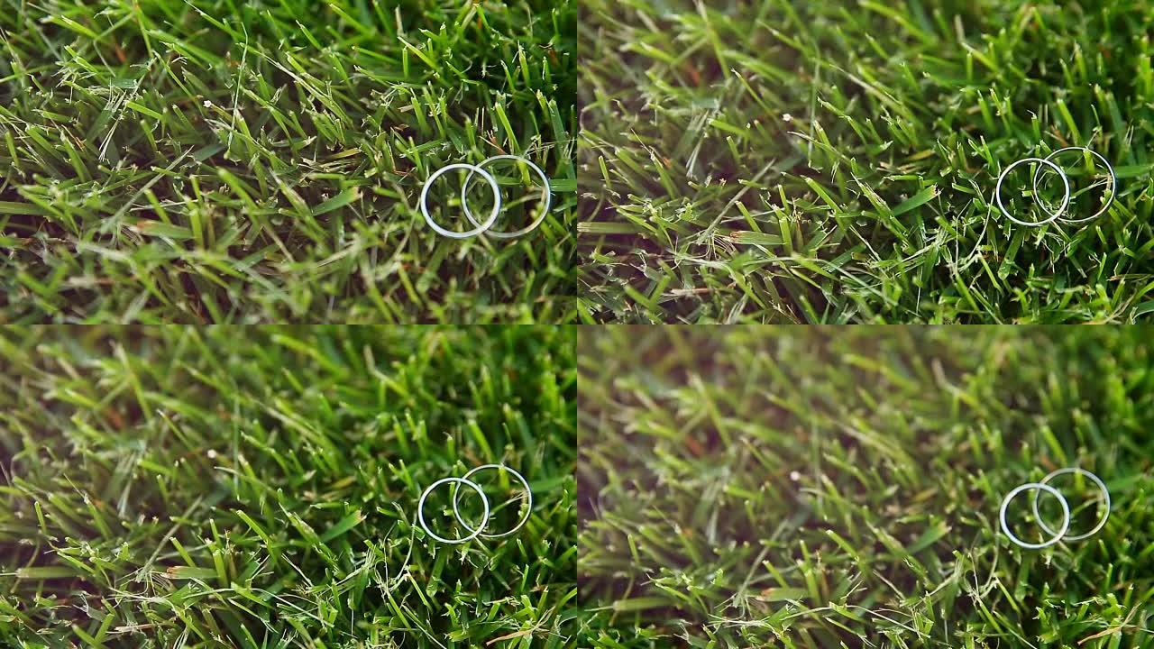 草地上的结婚戒指